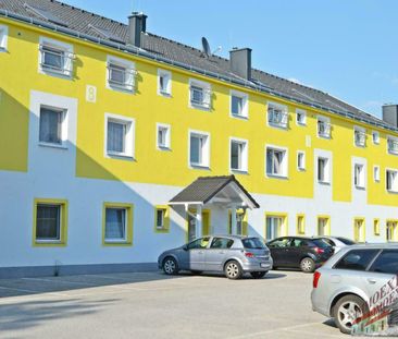 Sehr schöne Einzimmerwohnung in Fischamend komplett eingerichtet di... - Photo 4