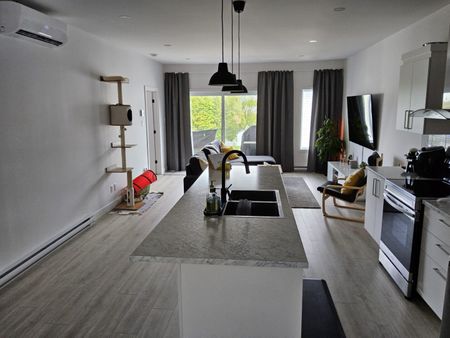 50 place Edmond-Aucoin Saint-Boniface - Photo 2