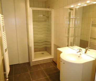 Location Appartement 2 pièces Meublé 49m² LE BOURGET DU LAC 73370 - Photo 3