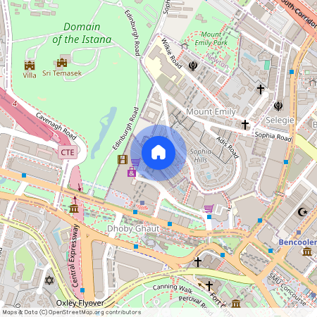 8 MOUNT SOPHIA, 228463, Singapore