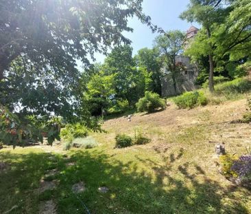 Une vie de château à Lucens - Photo 6