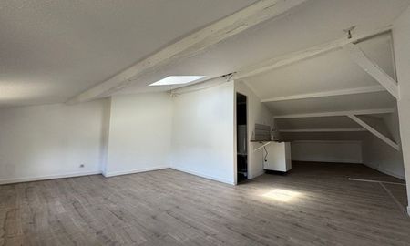 Location Appartement 1 pièce LIMOGES (87000) - Photo 3