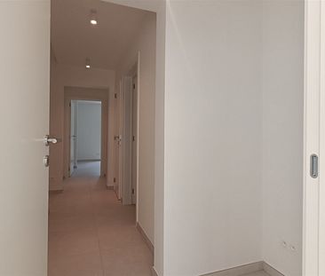 Appartement - Photo 2