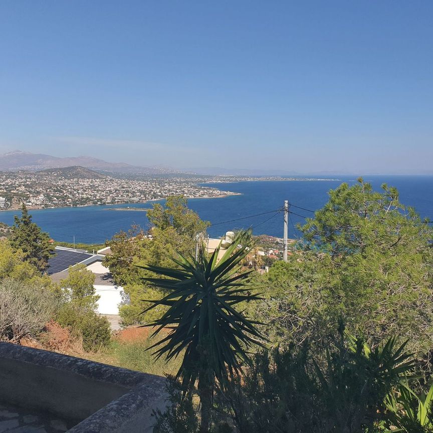 Διαμέρισμα για ενοικίαση Χαμολιά (Μαρκόπουλο) - Photo 1