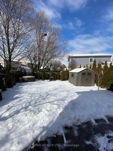 Detached Home For Lease | W8117306 - Photo 4