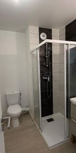 Location Appartement 1 pièce 19m² CLERMONT FERRAND 63000 - Photo 4