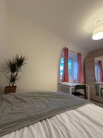 5 bedroom flat share to rent - Photo 5