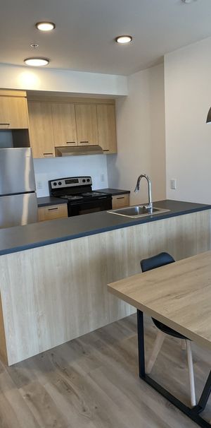 APPARTEMENT MEUBLÉ 3 1/2 - Photo 1