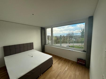2.5 Zimmer, 49 m², 1. Stock - Photo 2