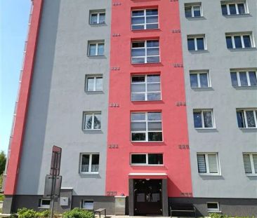Pronájem bytu k dočasnému bydlení - Fotografie 5