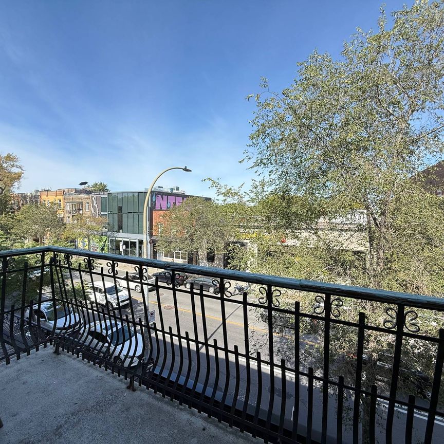 4542 Av. Papineau, Montréal (Le Plateau-Mont-Royal), QC H2H - Photo 1