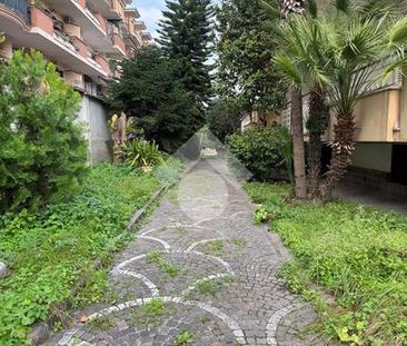 5 locali in affitto - Photo 3