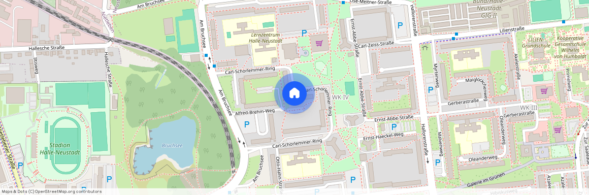 Carl-Schorlemmer-Ring 43, 06122 Sachsen-Anhalt - Halle
