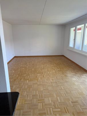Komfortable 3.5 Zimmer Wohnung in Brugg - Foto 1
