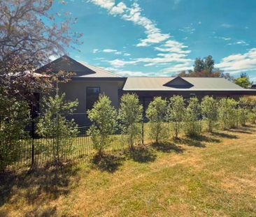 No place like home - Photo 4