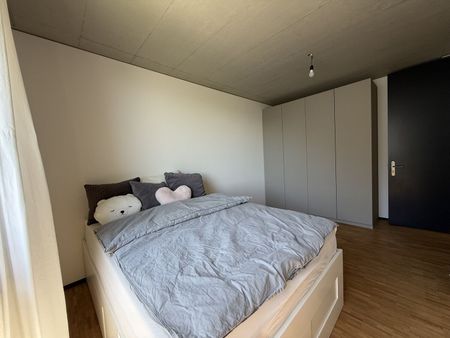 31/2 ROOM APARTMENT IN OBERRIEDEN (ZH), FURNISHED, TEMPORARY - Foto 3