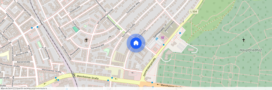 An der Emilsruhe 26, 67657 Kaiserslautern