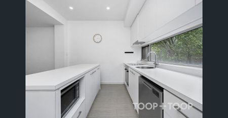 131 Ifould Street, Adelaide, SA 5000 - Photo 5
