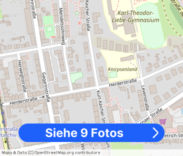 Geräumige 3-Raum-Wohnung im Altbau sucht neue Mieter! - Foto 1