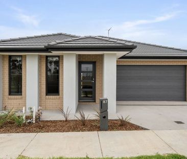 87 Munro Drive, Charlemont - Photo 6