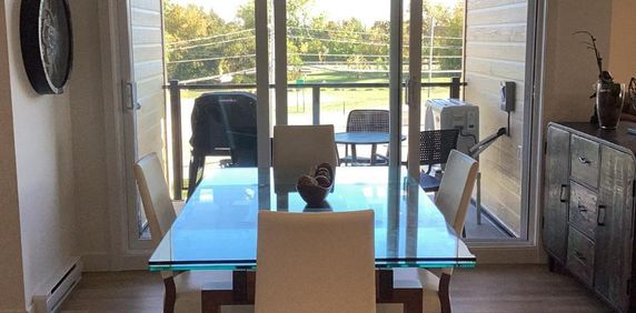 5 1/2 a louer-pointe-des-cascades-appartement - Photo 2