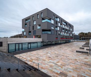 Joli appartement de 3.5 pièces à louer ! - Photo 4