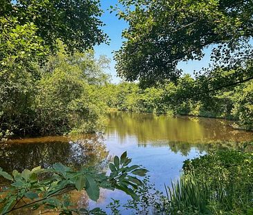 Warren Road, Crowborough - Photo 5