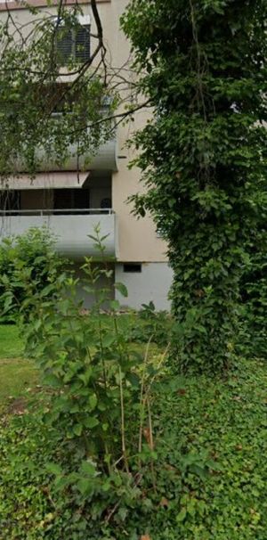 1 Zimmer, 2. Stock - Photo 2