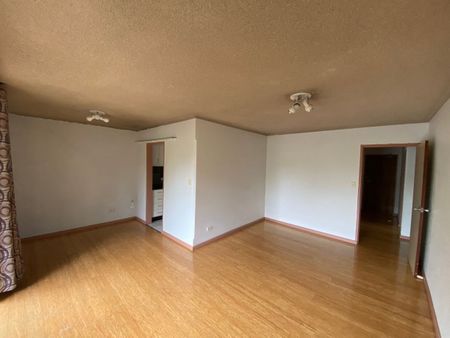 3 bedroom updated apartment with modern kitchen and timber flooring - Photo 2