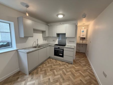 Oakfield Street, Swansea, SA4 - Photo 5