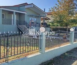 Μονοκατοικία για ενοικίαση - Πύργος, - Photo 6