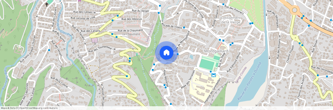 97400 SAINT DENIS, Montgaillard