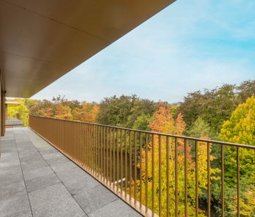 Boulevard du Souverain, 1170, Watermael-Boitsfort - Photo 1