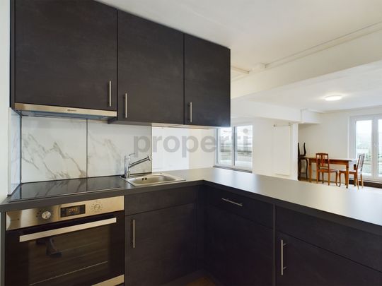 Attractive new construction loft apartment in Lucerne - Photo 1