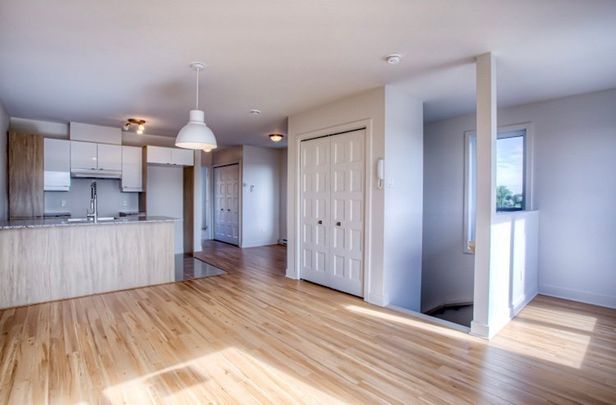 Rue Sherbrooke E., H1L 1E6, Montréal - Photo 1