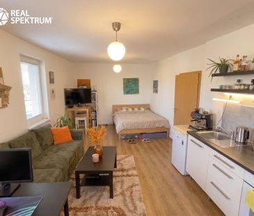 Pronájem bytu 1+kk 38 m2 - Photo 6