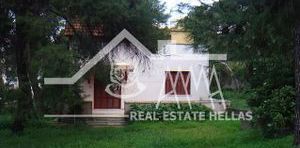 Μονοκατοικία για ενοικίαση - Αγία Παρασκευή, - Φωτογραφία 2