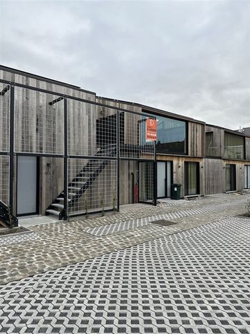 Appartement te EINE (9700) - Photo 4