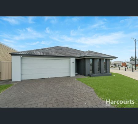 113 Shepperton Drive, Butler, WA 6036 - Photo 5