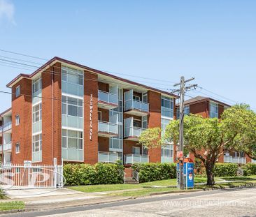 * North facing spacious living - Photo 4
