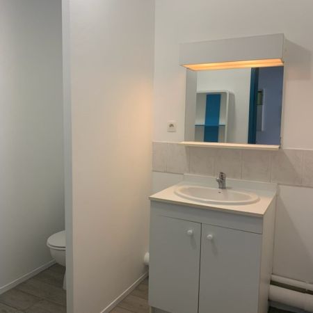 Location Appartement 1 pièce 21m² ALBI 81000 - Photo 4