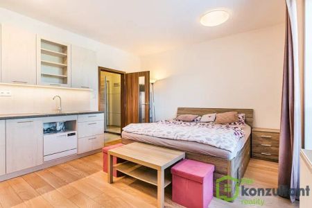 Pronájem bytu 1+kk s balkonem v Brně Žebětíně - Fotografie 5