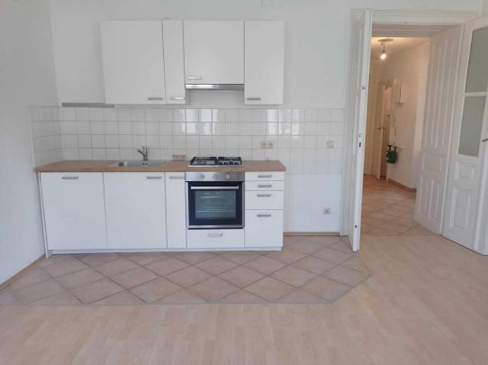 wunderschöne, sehr helle Stilaltbauwohnung nähe Nussdorfer Straße - Photo 1