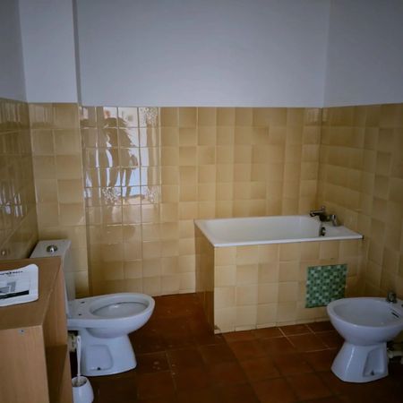 Location Studio 1 pièces 29 m2 à Villeneuve-d'Olmes - Photo 3