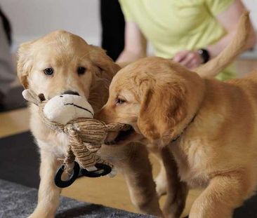 Harrison Building, Stratford, E20 - Photo 1