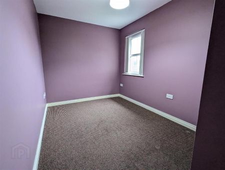 21b Burrenwood Road, Castlewellan, BT31 9DR - Photo 2