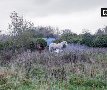 Quiet room for rent in 2-bedroom apartment in Donabate - Photo 3