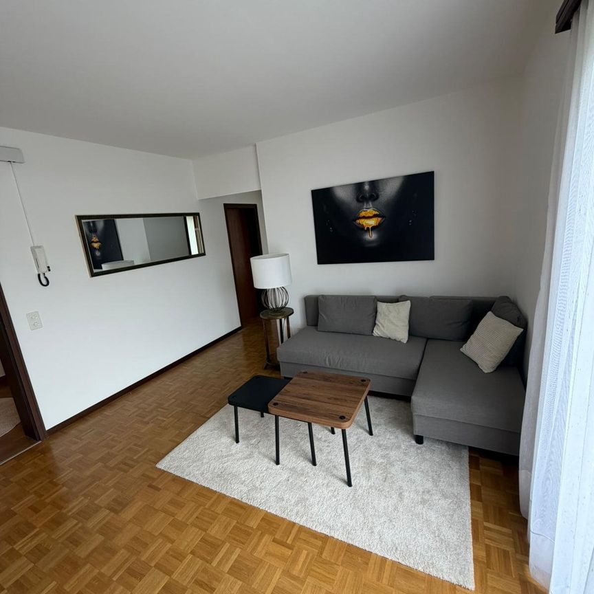 Appartamento 3 locali ammobiliato con giardinoDino (Lugano) - Photo 1