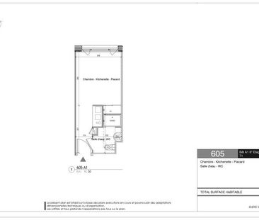 Location Appartement 1 pièce 20m² LYON 7ème - Photo 4