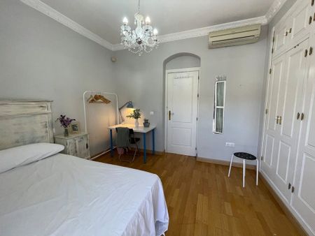 Calle Porvenir, Sevilla, Andalusia 41013 - Photo 5